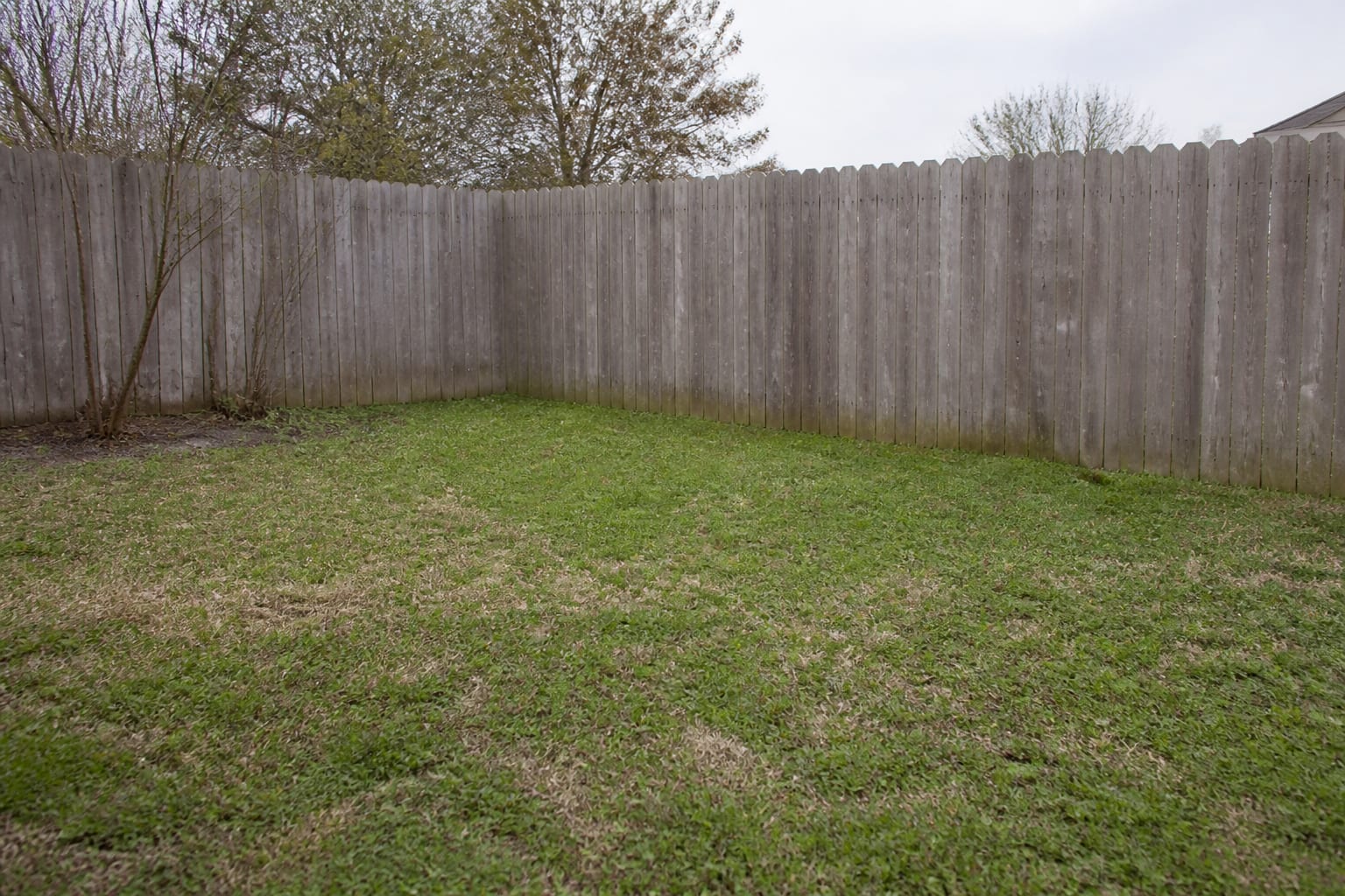 Unused rear lawn corner with patchy grass and no landscaping features