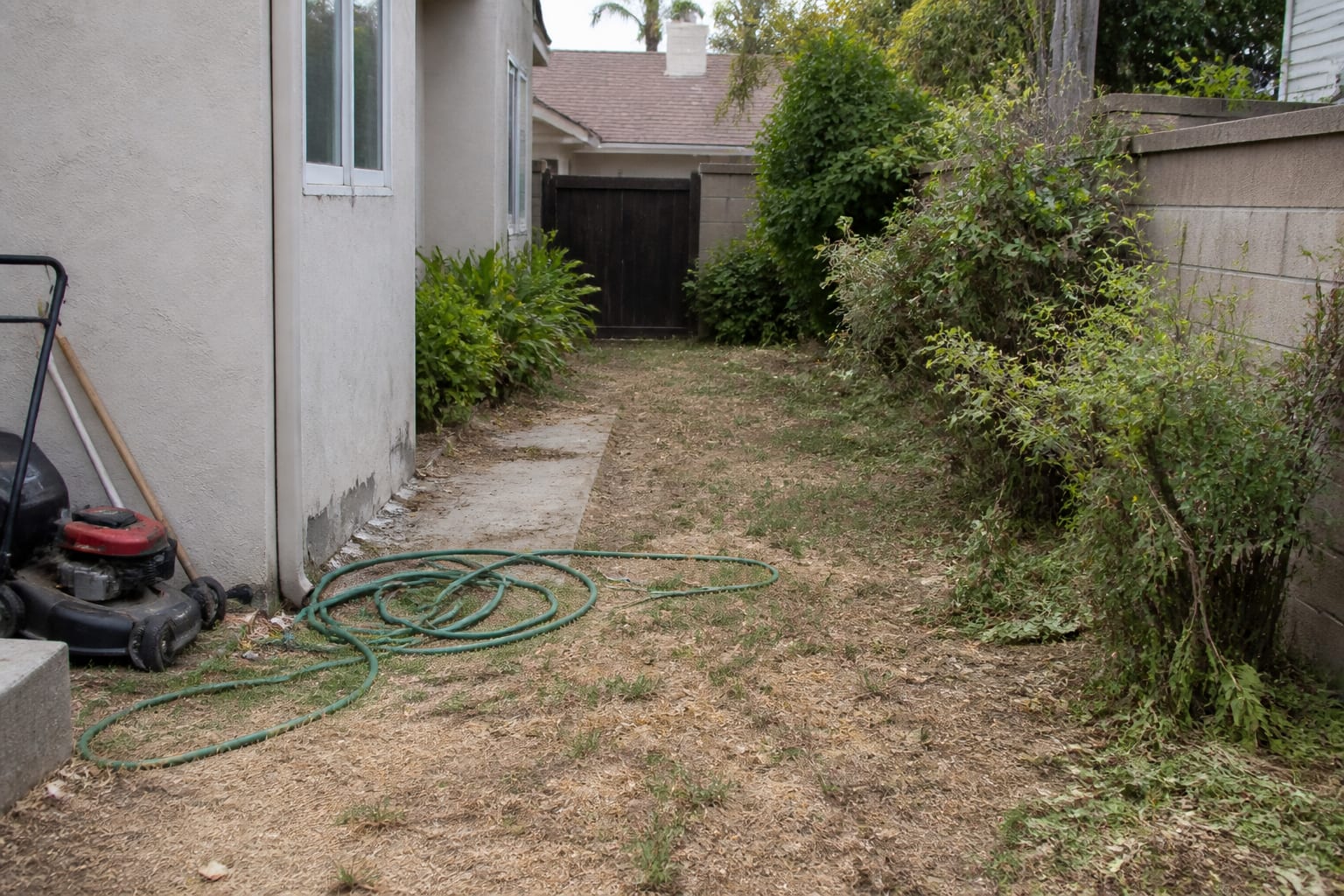 Cluttered side yard with patchy grass, overgrown shrubs, and stored yard equipment