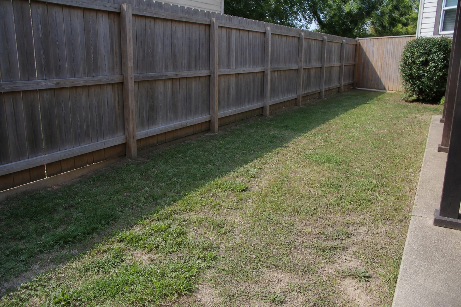 A bare lawn strip along a wooden fence with no planting, just grass and weeds