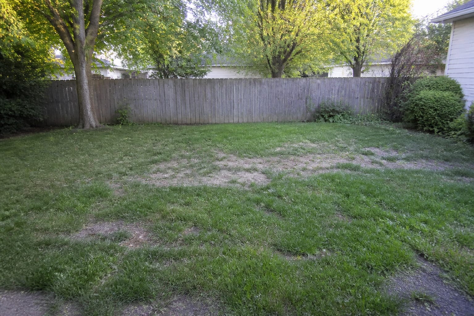 Flat patchy backyard lawn with worn grass and no defined hard surface before redesign