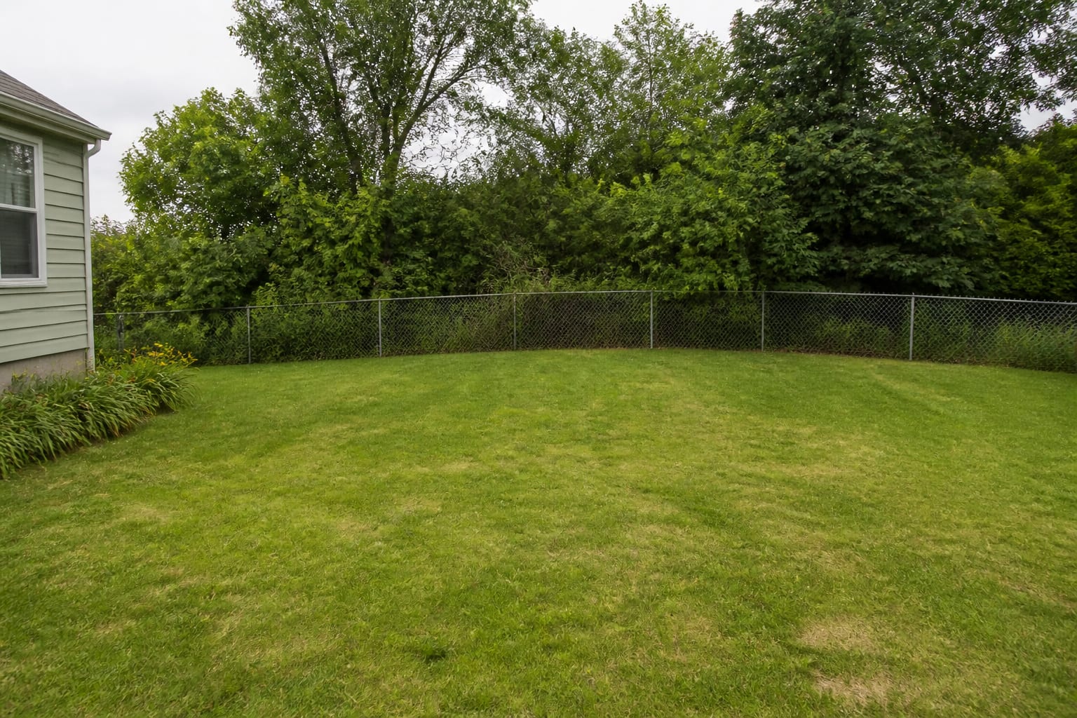 Empty flat lawn at the back of a suburban yard with no shade structure or destination feature