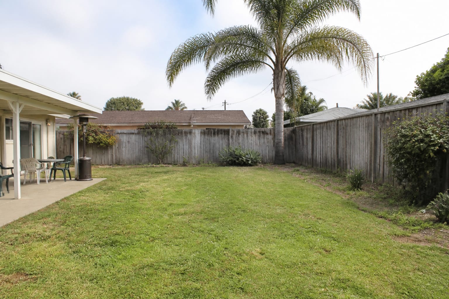 Plain rectangular backyard with a wide lawn, scattered plants, and no defined beds or paths before redesign