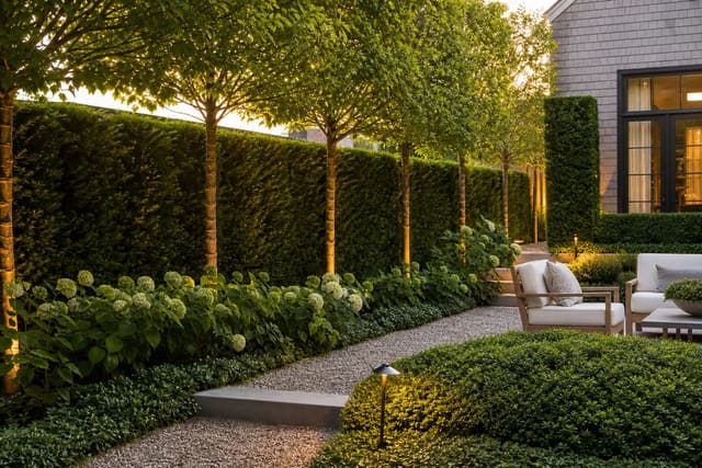 layered garden privacy screen with pleached trees, evergreen hedging, gravel path, and clipped groundcover beside a seating area