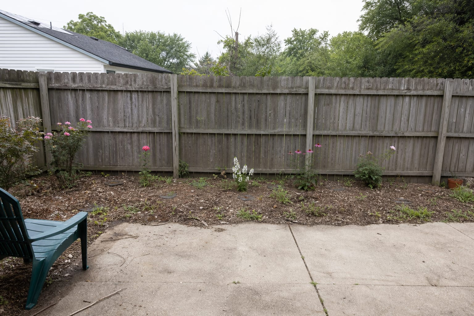 Flat backyard border with scattered flowers, bare mulch, and no vertical movement along the fence line