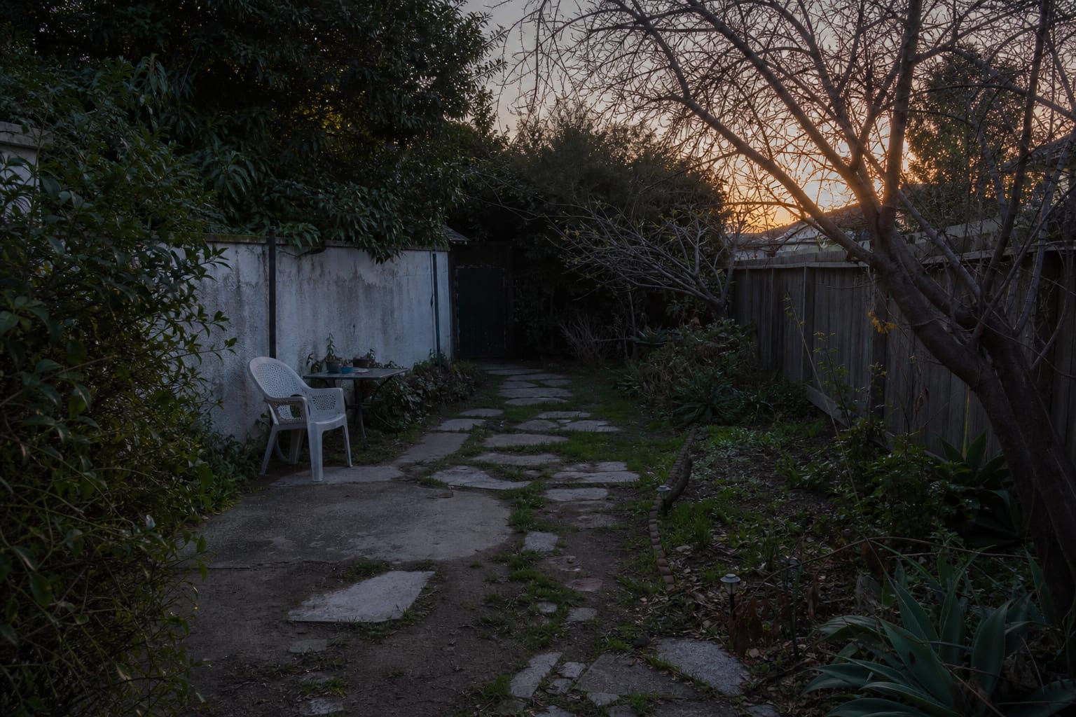 unlit garden path with dark shrubs, uneven stepping stones, and no visible edge or destination lighting