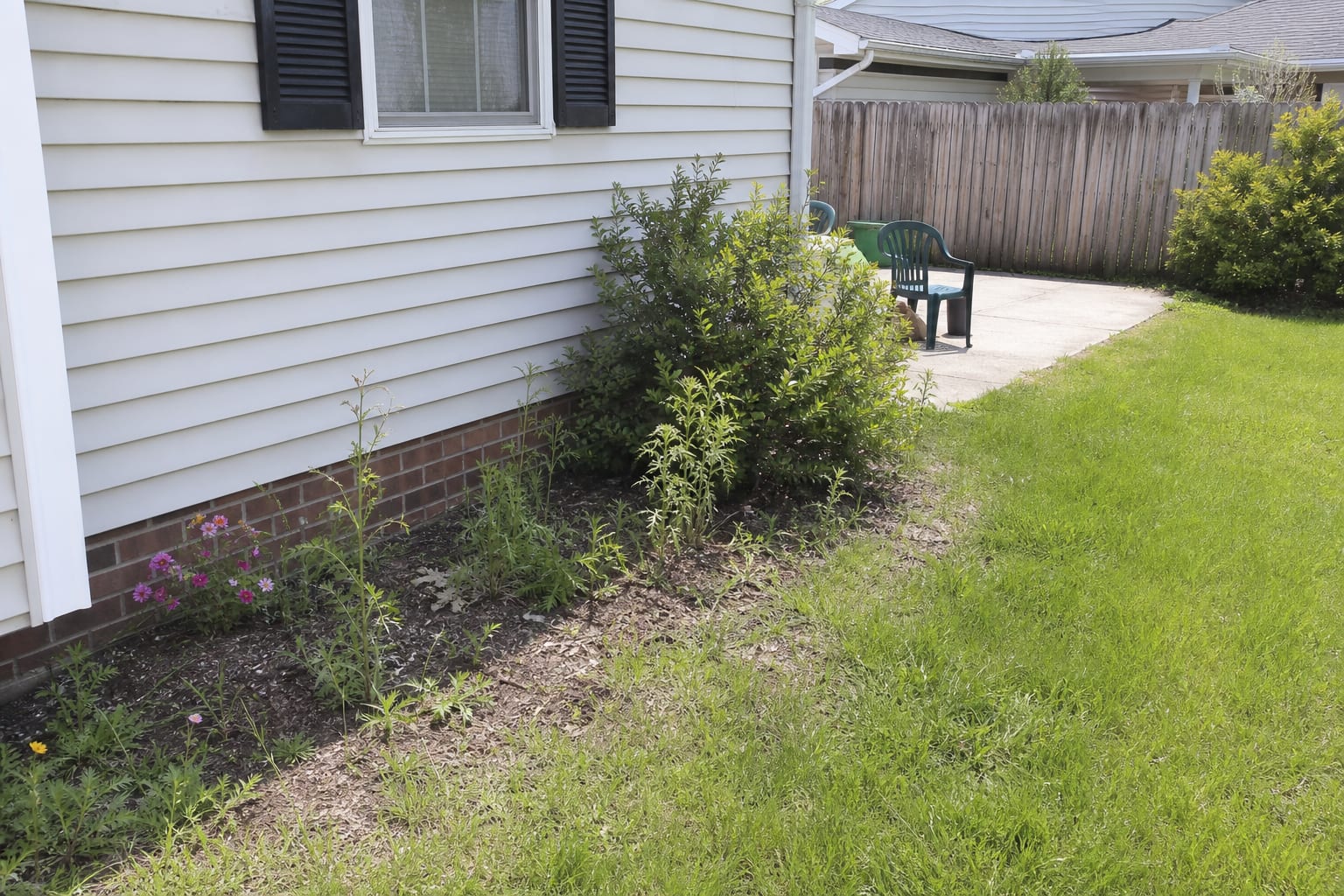 thin garden bed with bare mulch, one oversized shrub, scattered annuals, and no bloom sequence along a lawn edge